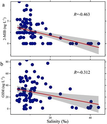 Regulation of salinity to inhibit 2-methylisoborneol and geosmin: Insights from spatial-scale research in coastal areas of China